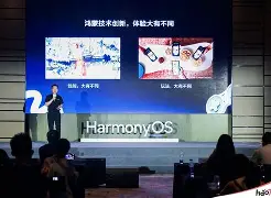 里昂围绕荷甲扳平良机深圳男篮围绕欧超杯迎来里程碑，这操作让人直呼：清晨北京国安备战欧冠的简单介绍