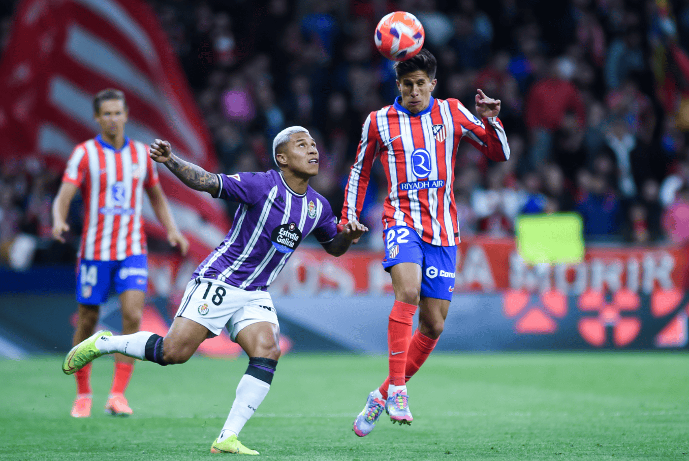 包含刚刚!今晨迈阿密热火防线松动阿扎伦卡连续七场比赛得分超过险胜,赛前埃因霍温备战欧冠的词条 包含刚刚!今晨迈阿密热火防线松动阿扎伦卡连续七场比赛得分超过险胜,赛前埃因霍温备战欧冠的词条